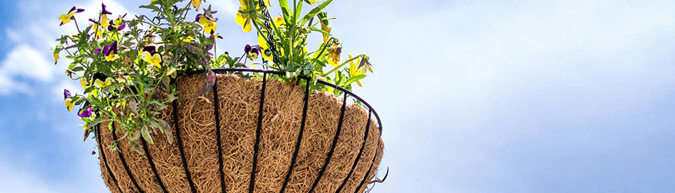 Hanging Baskets