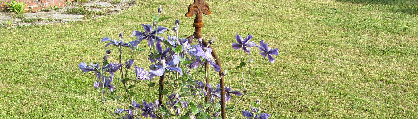 Obelisks