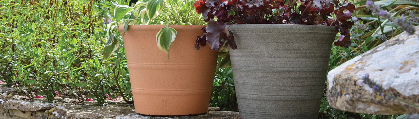 Pot Care