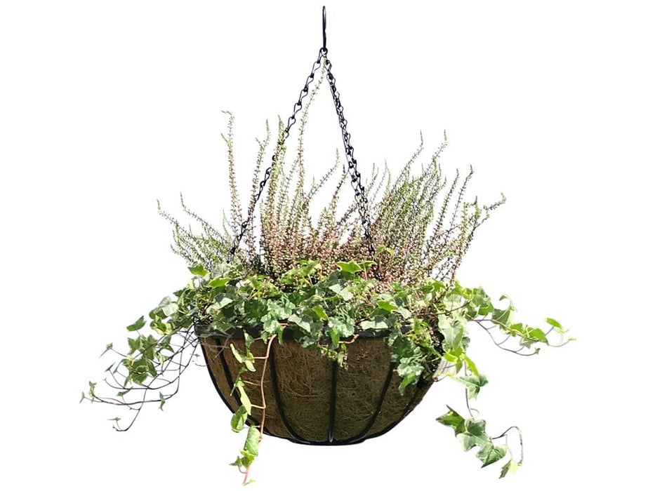 Wrought Iron basket with Coco liner