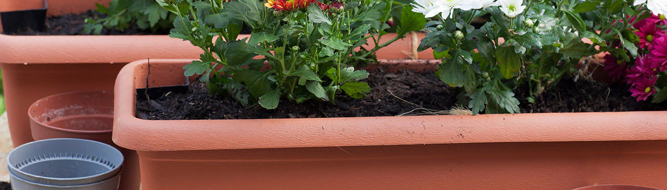 Balcony Planters