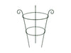 Scrolled Peony Cage Plant Support