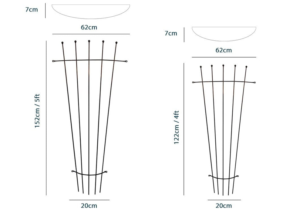 Fan Trellis - Wall Mounted